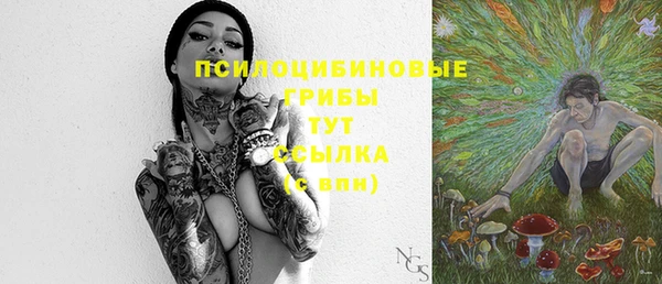 стафф Арсеньев