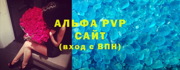 стафф Арсеньев
