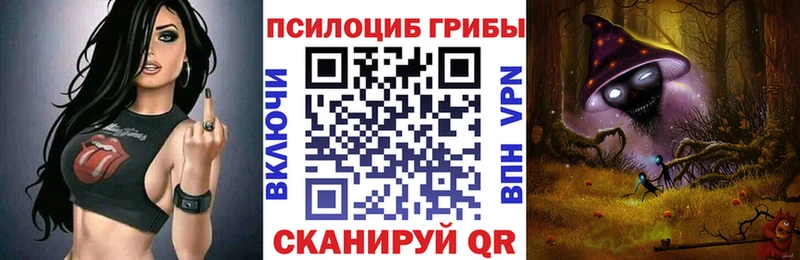 Галлюциногенные грибы Psilocybe  Байкальск 